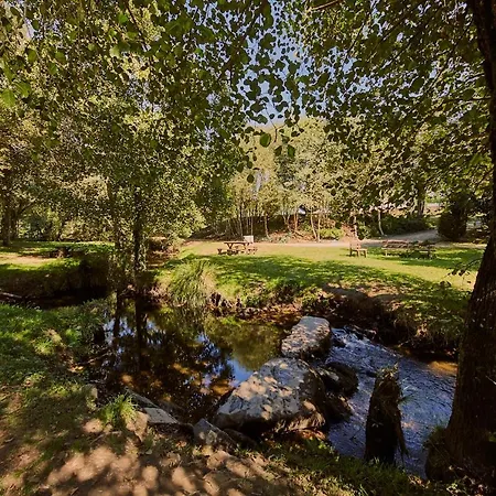 Segue O Camino * シグエイロ