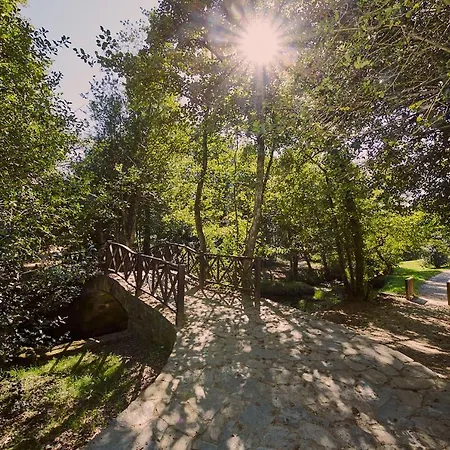 Segue O Camino Sigueiro